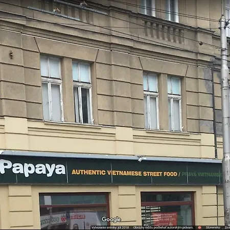 Apartment Zivnostenska 4